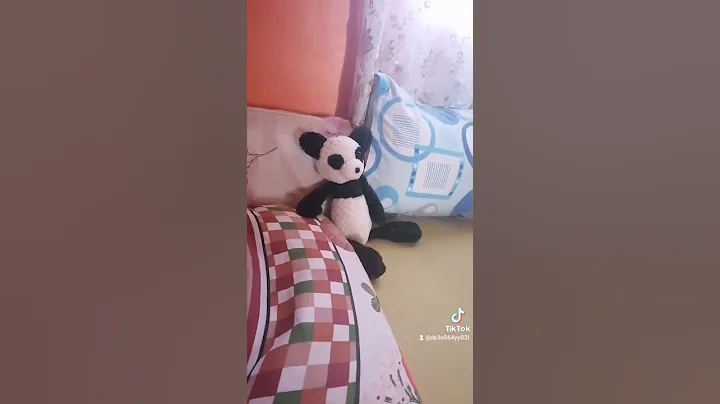 am o pisică cât o vacă doarme întruna că e vagaboantă dar e pisica mea preferată pupuci