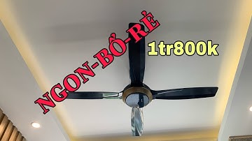 Review quạt trần Panasonic F-56XPG 1 triệu 800. Ngon-Bổ-Rẻ