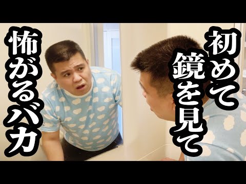 生まれて初めて見た鏡相手に、ケンカするバカ【ジェラードン】