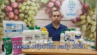 Схема обробки саду 2024