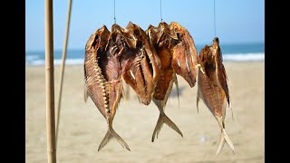 Dry fish crusher, Dry Fish Shredder, #DryFishCrushing, Dry Fish Shredding, FIsh Grinder, #DryFish