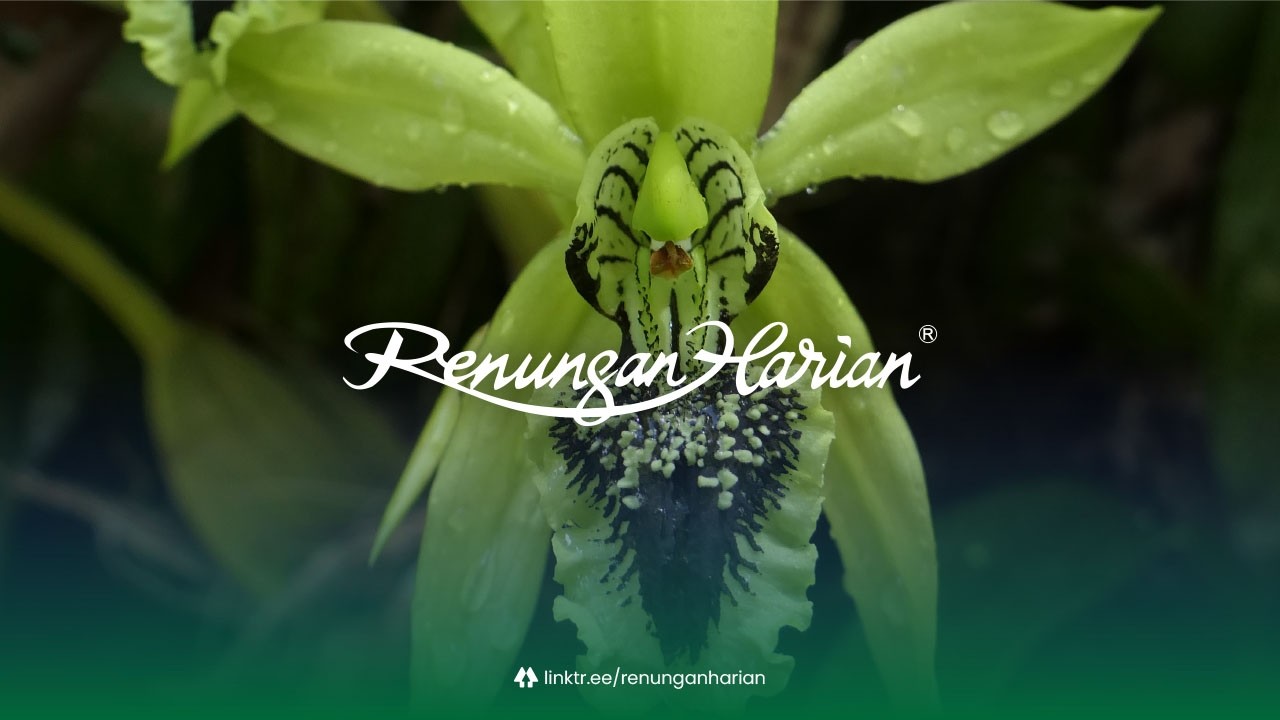 KOMITMEN KEPADA ALLAH | Renungan Harian® (Audio)
