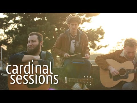 Musicians Like Gamblers Like Drunks Like Me Video