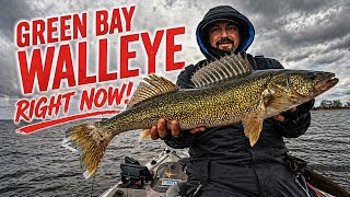GREEN BAY Walleyes post spawn!!