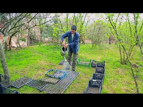 9 აპრილს, 12:45 საათზე, გადაცემაში \"ფერმა\"