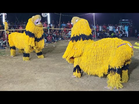 বাঘটা বিরাট নাচে দিলো | Prasenjit kalindi chonach | Purulia Chhau Nach | Bag Nach | Cho Nach | 