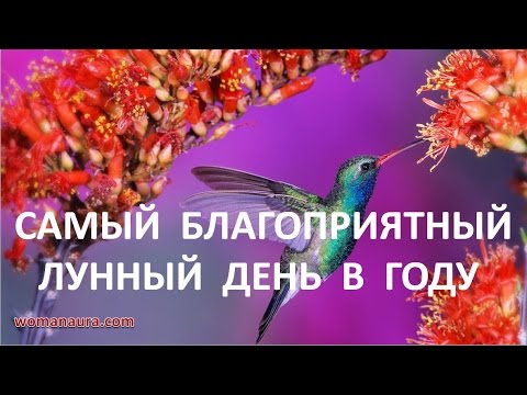Акшая тритья Самый