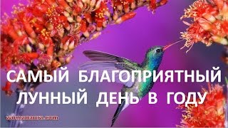 Самый благоприятный лунный день в году Акшая тритья джйотиш Самый благоприятный лунный день в году Акшая тритья джйотиш