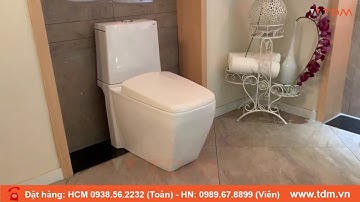 TDM.VN | Review bồn cầu 2 khối Caesar CD1346 bàn cầu nguyên khối thân cầu vuông