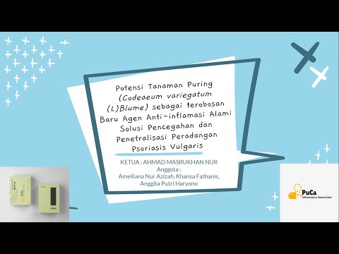 PKM - PUCA (Puring Capsule)|| POTENSI TANAMAN PURING SEBAGAI AGEN ALAMI ANTI-INFLAMASI