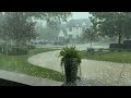 Tree falls in Rogers Park as severe thunderstorms hammer Chicago