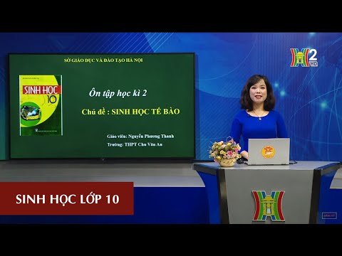 Video MÔN SINH HỌC - LỚP 10 | ÔN TẬP HỌC KỲ II | 13H30 NGÀY... - YouTube