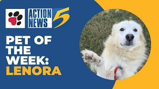 Pet of the Week: Lenora