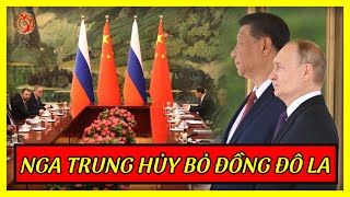 Mỹ Và EU Tái Mặt Khi TQ Đón Tiếp Putin Khác Xa NATO ! | Kiến Thức Chuyên Sâu