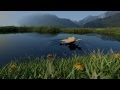 SottoZen - Logo animation - Dynamic paint and grass essential