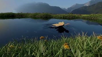 SottoZen - Logo animation - Dynamic paint and grass essential