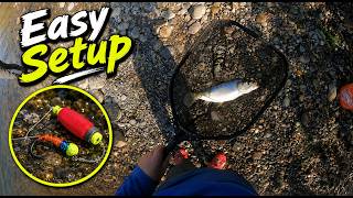 Use This Easy Setup To Catch More American Shad