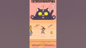 🐱 Hide and Seek: Cat Escape! #57 - Can You Beat This Impossible Level? 😱