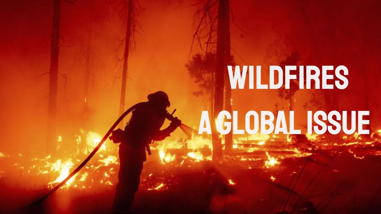 Wildfires YouTube