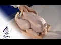 See how the Campylobacter chicken bug spreads in a kitchen | Channel 4 News