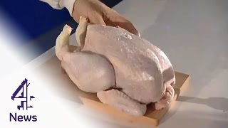 See how the Campylobacter chicken bug spreads in a kitchen | Channel 4 News