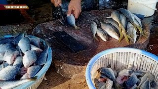 How to Fillet Every Fish l Method Mastery Freshwater l Epicurious