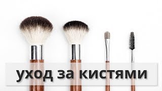 КАК МЫТЬ И СУШИТЬ КИСТИ ДЛЯ МАКИЯЖА