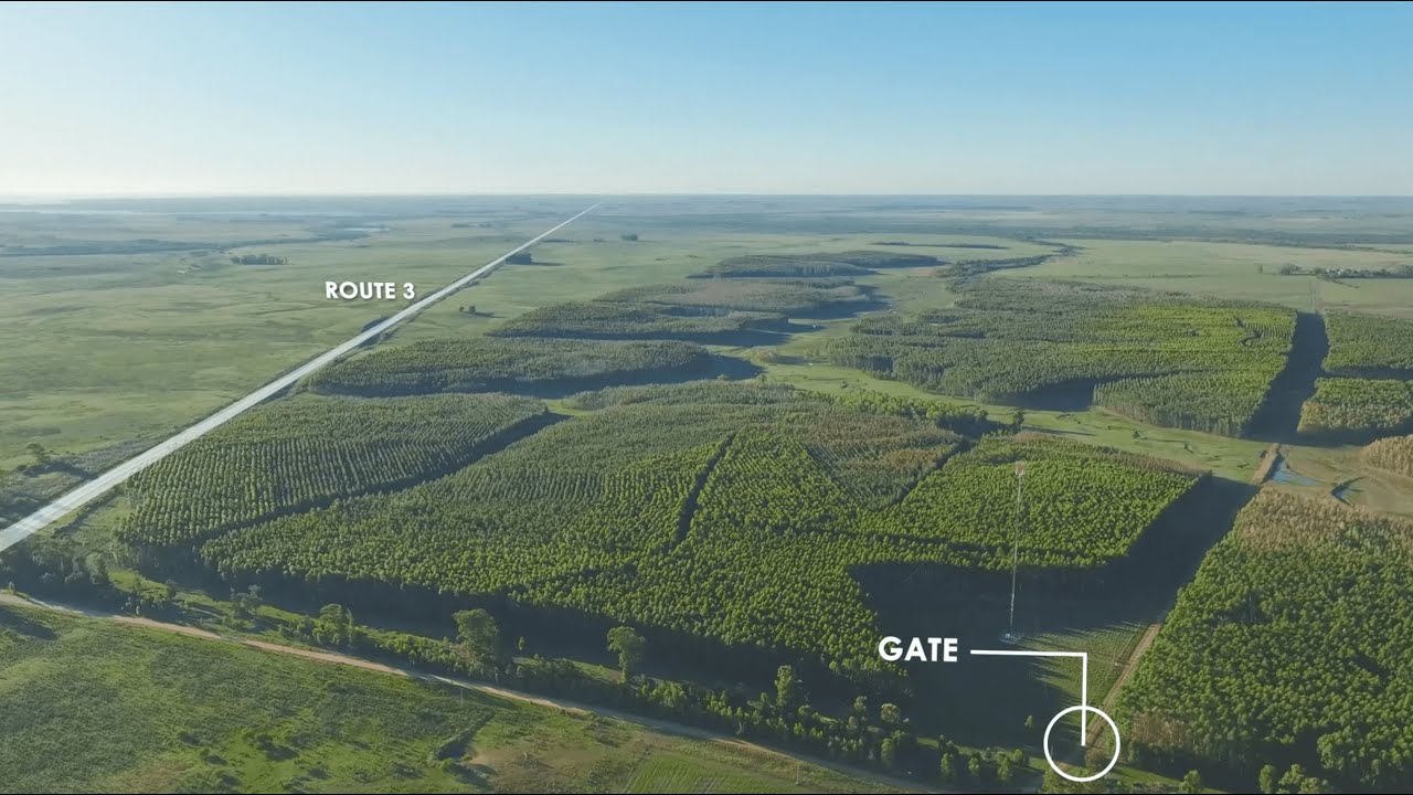 El Castillo - Salto, Uruguay (English version)