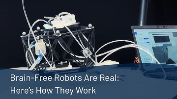 Air-Powered Robots That Think for Themselves