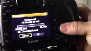 Compact Flash cards vs SD Cards Sandisk Extreme Pro Lexar Platinum II