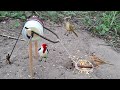 Simple Bird Trap with Can of Cream-  Armadilha simples para pegar Passarinhos usando lata de Creme