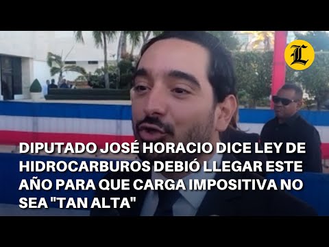 José Horacio dice Ley Hidrocarburos debió reformarse para que carga impositiva no sea &quot;tan alta&quot;