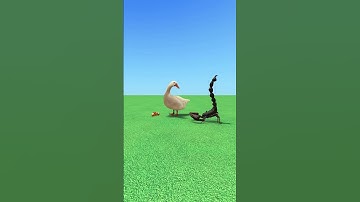 Long slide game with duck #3danimation #games #funny #3dgame #animals