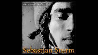 Sebastian Sturm - Seeing Things