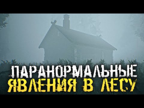 ПАРАНОРМАЛЬНЫЕ ЯВЛЕНИЯ В ЖУТКОМ ЛЕСУ. СТРАШНЫЙ ИНДИ ХОРРОР. - Nerved [Хоррор стрим, Прохождение]