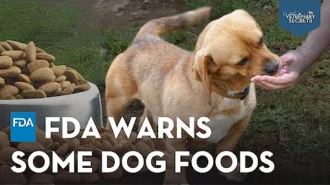 FDA Warns About Dog Food Linked to (DCM) Heart Disease