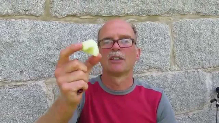 How to Peel an Apple, a Carla Schwartz Documentary