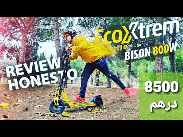 Bison 800 Tout terrain trottinette électrique pneus cross 10 pouces 800  watts