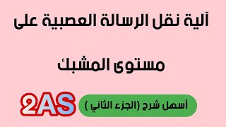 آلية نقل الرسالة العصبية على مستوى المشبك *الجزء الثاني