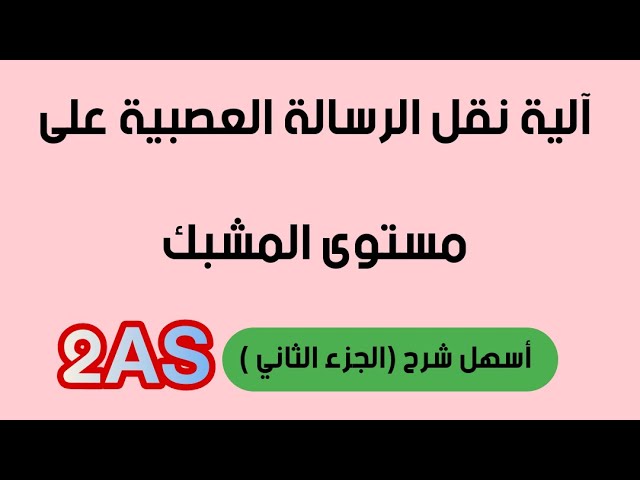 آلية نقل الرسالة العصبية على مستوى المشبك *الجزء الثاني