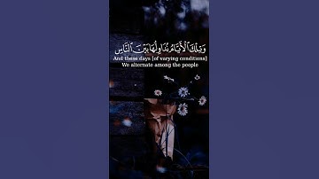 لله درك | من اجمل التلاوات تلاوة هادئة ومريحة ومؤثرة 🌿القرآن الكريم🌿 #quran #allah #اكسبلور #لايك