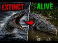 7 Extinct Creatures That MAY Still Exist