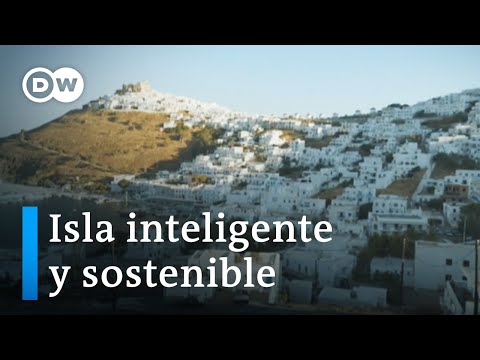 El programa piloto