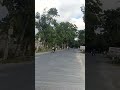 Còn đường làng