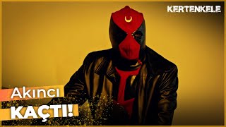 Akıncı Kaçtı Kertenkele