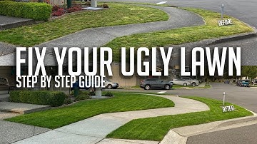 FIX YOUR UGLY LAWN! Step by step guide with tools, products, and before and after pictures & videos!