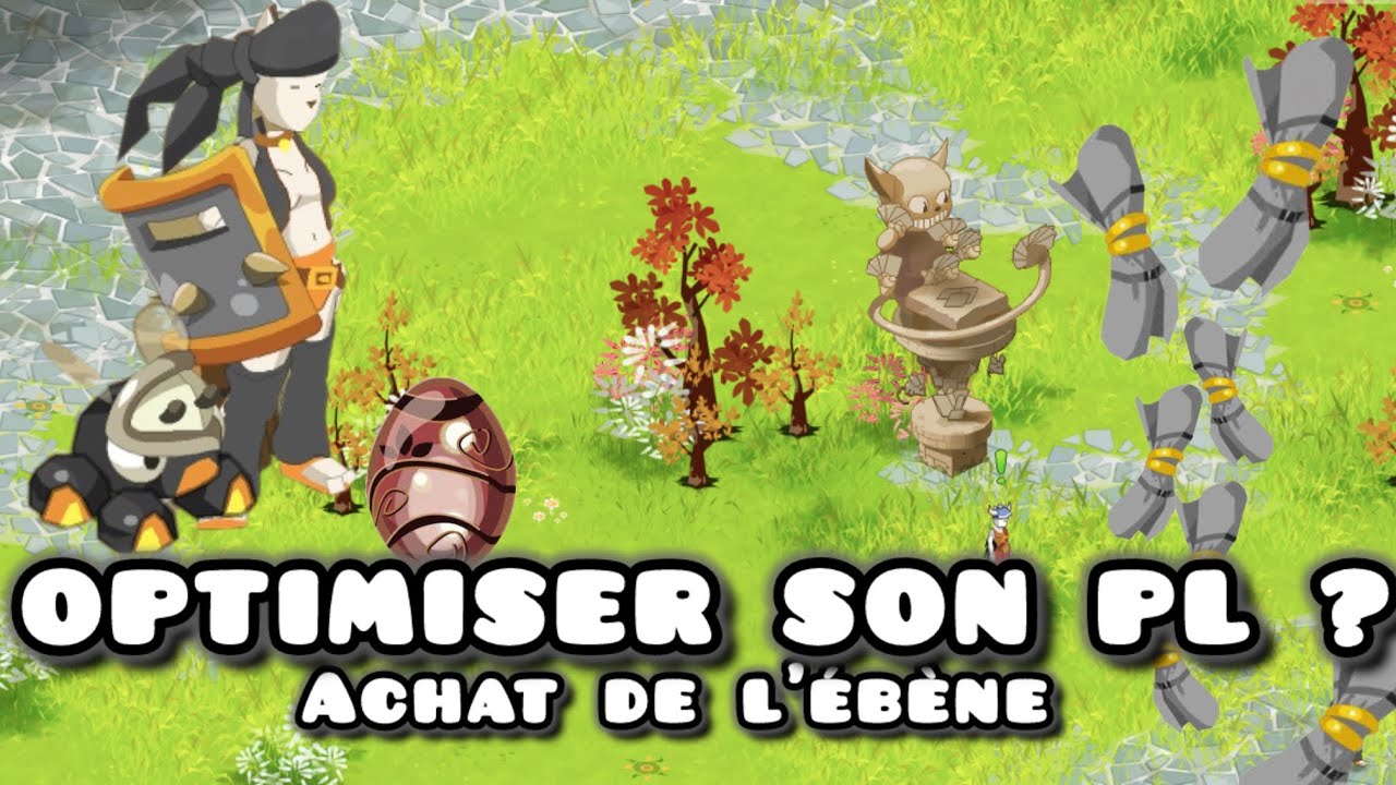 [DOFUS RETRO BOUNE] Comment j’optimise mon PL - Achat de l'ébène