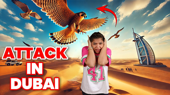 A Wild Eagle Attacks on Akshada 🦅| *Dubai Vlog* | Part 2