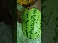 summer fruit water melon 🍉🍉🍉🍉#shortvideos #@AnnapurnaHomeFoodsPickles