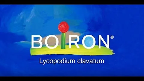 O que é lycopodium?